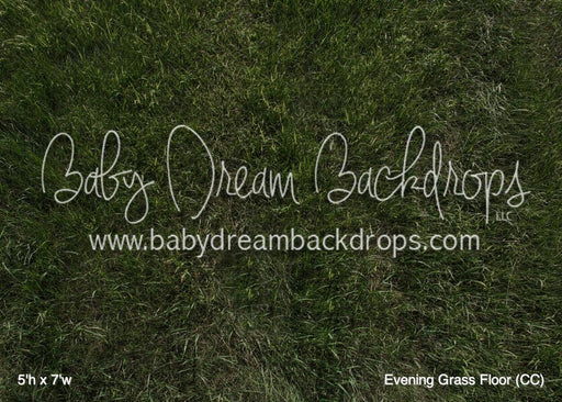 Evening Grass Floor (CC)
