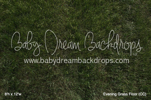 Evening Grass Floor (CC)