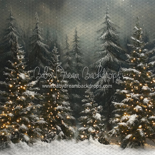 Evening Winter Pines (JA)