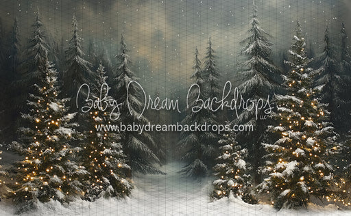 Evening Winter Pines (JA)