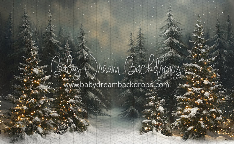 Evening Winter Pines (JA)