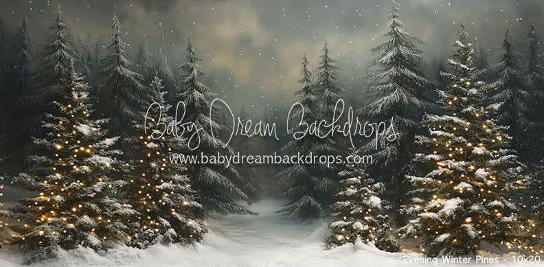 Evening Winter Pines (JA)