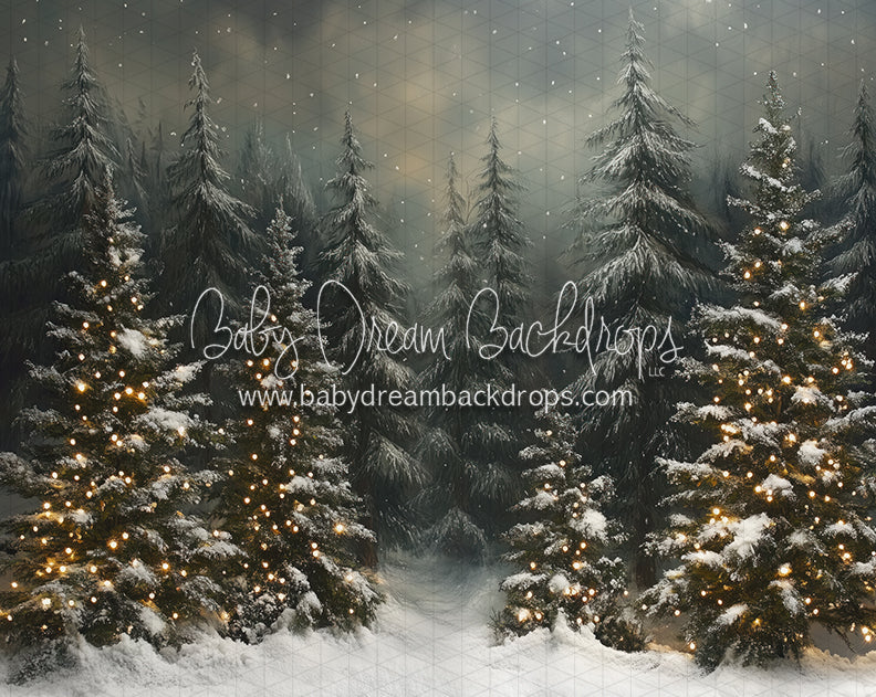 Evening Winter Pines (JA)