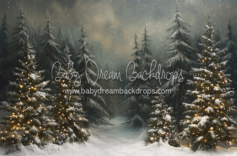 Evening Winter Pines (JA)