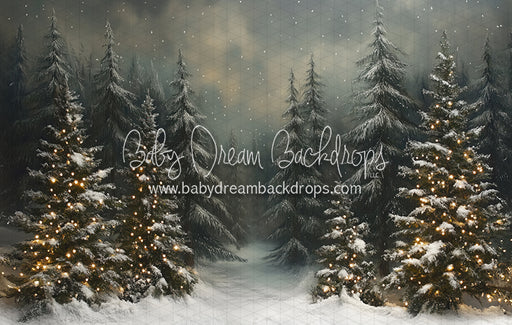 Evening Winter Pines (JA)