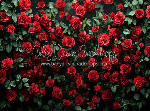 Everbloom Leopard Rose Wall (CC)