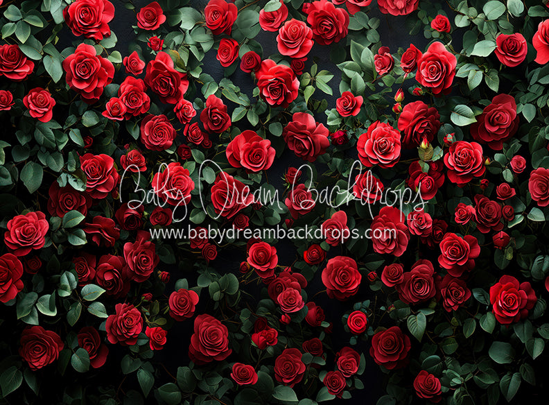 Everbloom Leopard Rose Wall (CC)