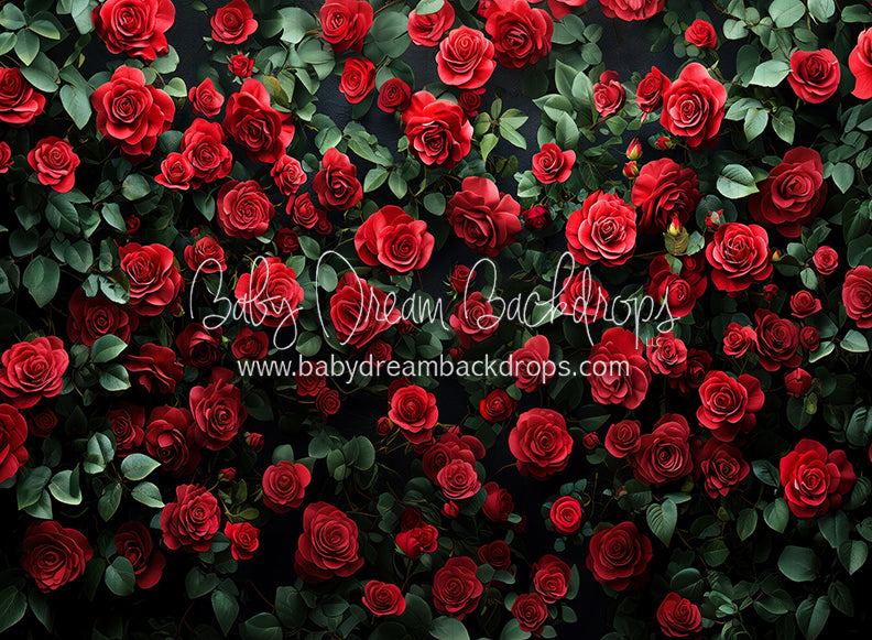 Everbloom Leopard Rose Wall (CC)