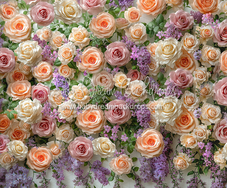 Everbloom Mabel Wall (CC)