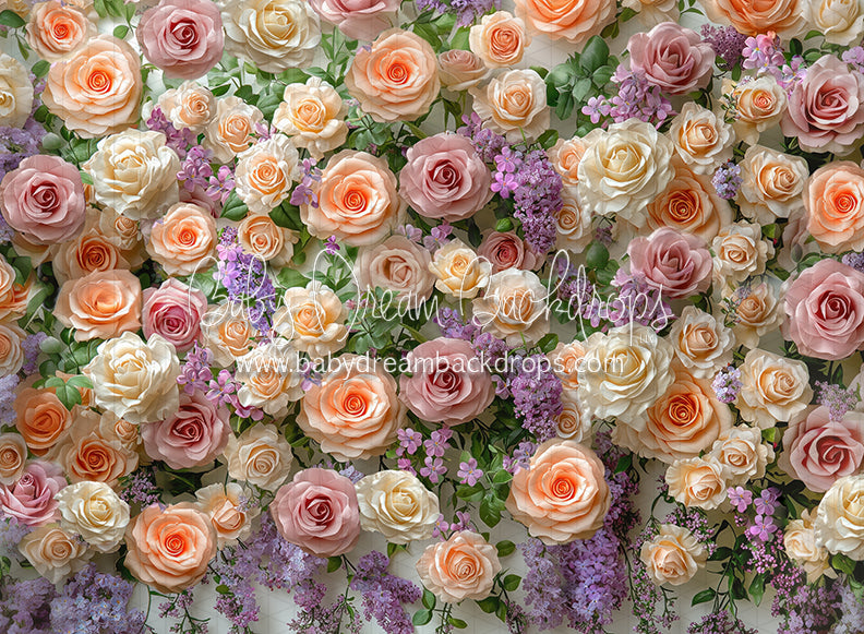 Everbloom Mabel Wall (CC)