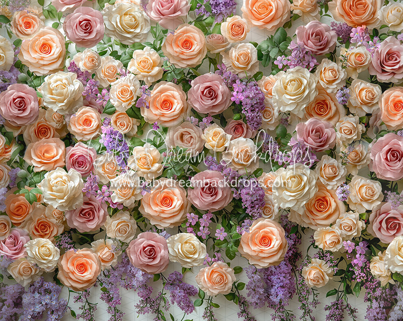 Everbloom Mabel Wall (CC)