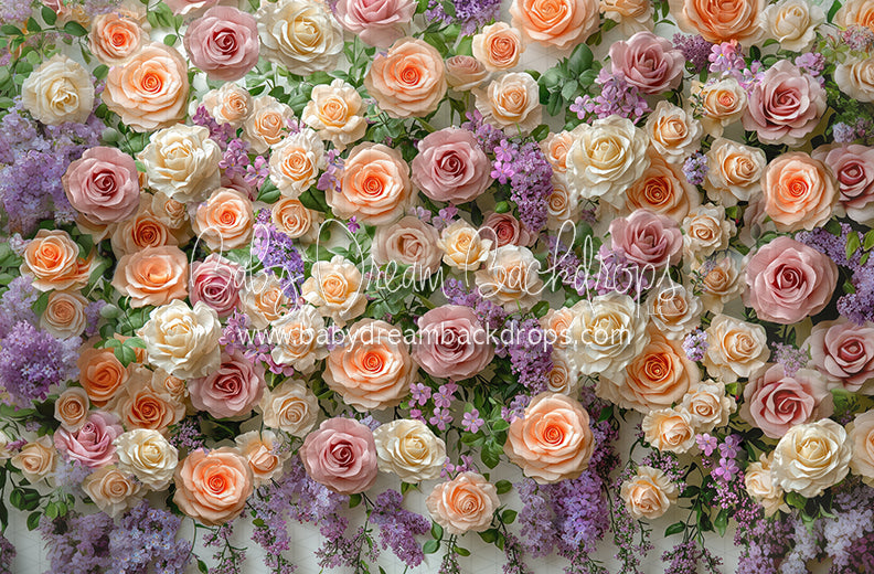 Everbloom Mabel Wall (CC)