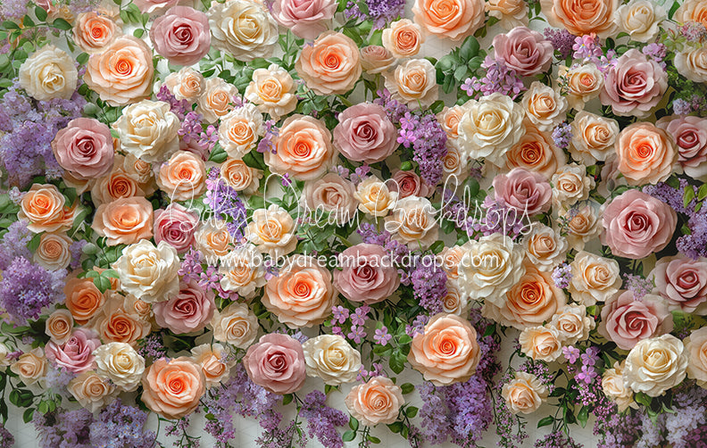 Everbloom Mabel Wall (CC)