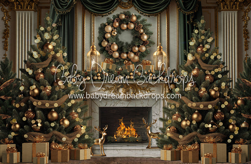 Evergreen Elegance (JA)