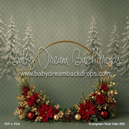 Evergreen Noel Halo (MI)