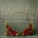 Evergreen Noel Halo (MI)