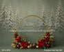 Evergreen Noel Halo (MI)