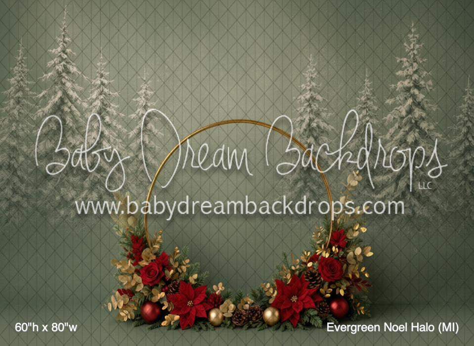 Evergreen Noel Halo (MI)