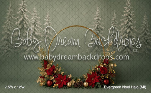 Evergreen Noel Halo (MI)