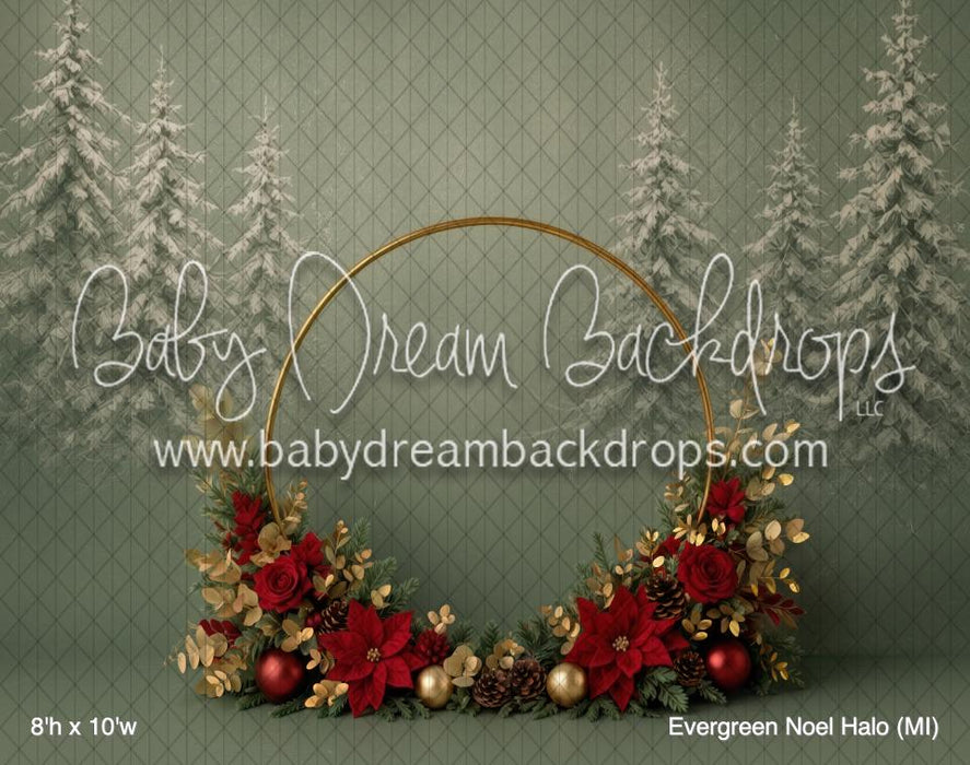 Evergreen Noel Halo (MI)