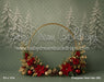 Evergreen Noel Halo (MI)