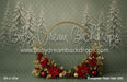 Evergreen Noel Halo (MI)