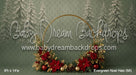 Evergreen Noel Halo (MI)
