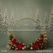 Evergreen Noel Halo (MI)