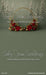 Evergreen Noel Halo Sweep (MI)