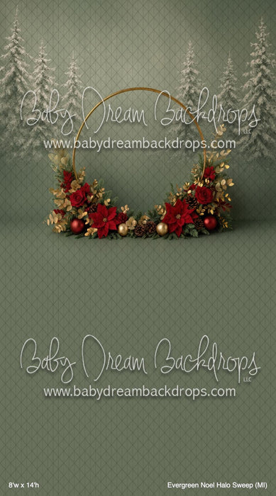 Evergreen Noel Halo Sweep (MI)