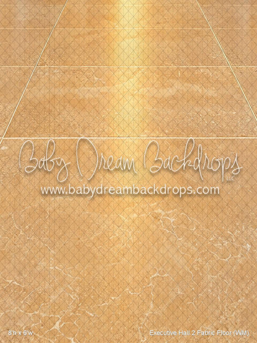 Executive Hall 2 Fabric Floor (WM)