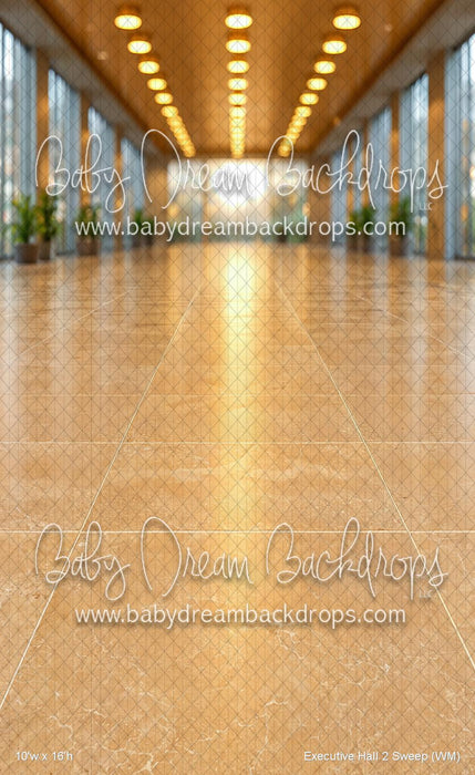 Executive Hall 2 Sweep (WM)