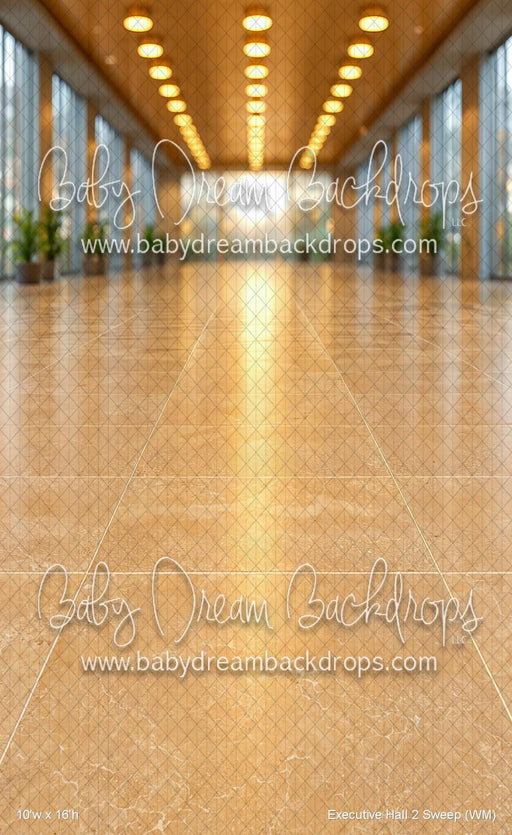 Executive Hall 2 Sweep (WM)