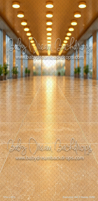Executive Hall 2 Sweep (WM)
