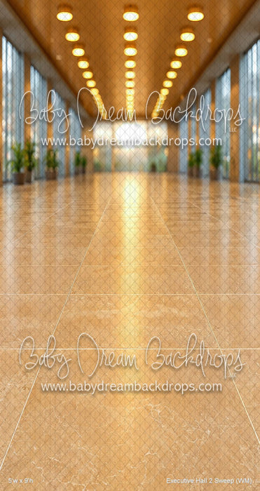 Executive Hall 2 Sweep (WM)