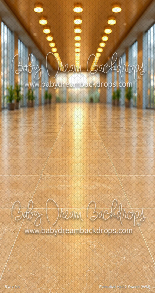 Executive Hall 2 Sweep (WM)