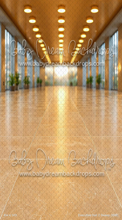Executive Hall 2 Sweep (WM)