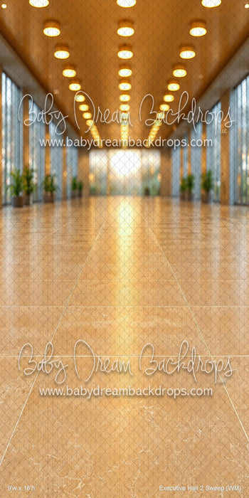 Executive Hall 2 Sweep (WM)