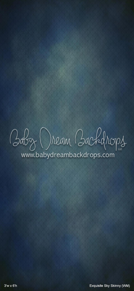 Exquisite Sky Skinny (WM)