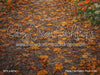 Fable Fall Fabric Floor (CM)