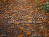Fable Fall Fabric Floor (CM)