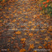Fable Fall Fabric Floor (CM)