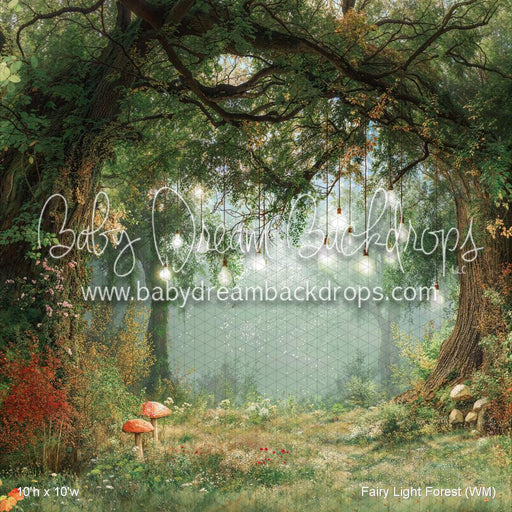 Fairy Light Forest (WM)