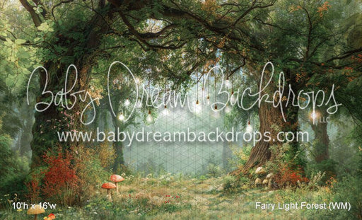 Fairy Light Forest (WM)