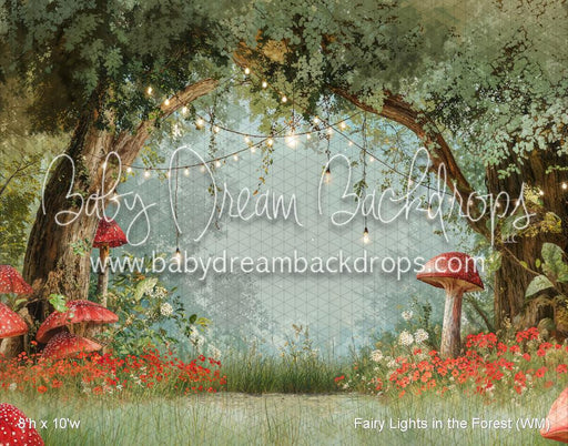 Fairy Lights in the Forest (WM)