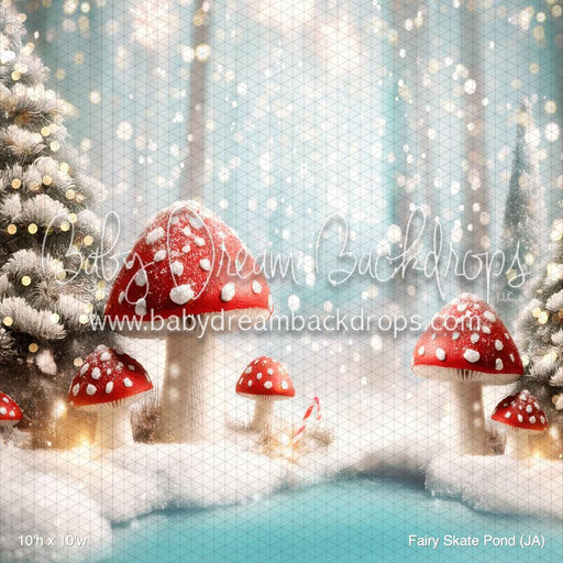 Fairy Skate Pond (JA)