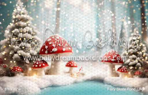 Fairy Skate Pond (JA)
