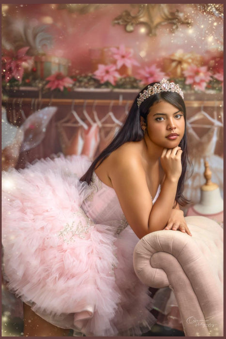 Fairytale Christmas Gowns (MD)