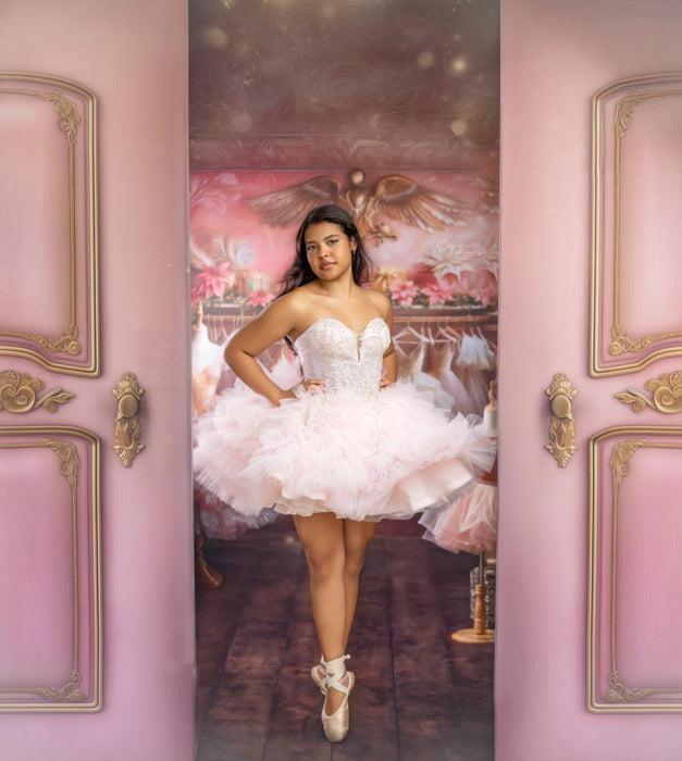 Fairytale Christmas Gowns (MD)