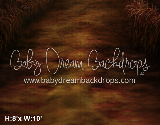 Fall Cornfield Path (AZ)